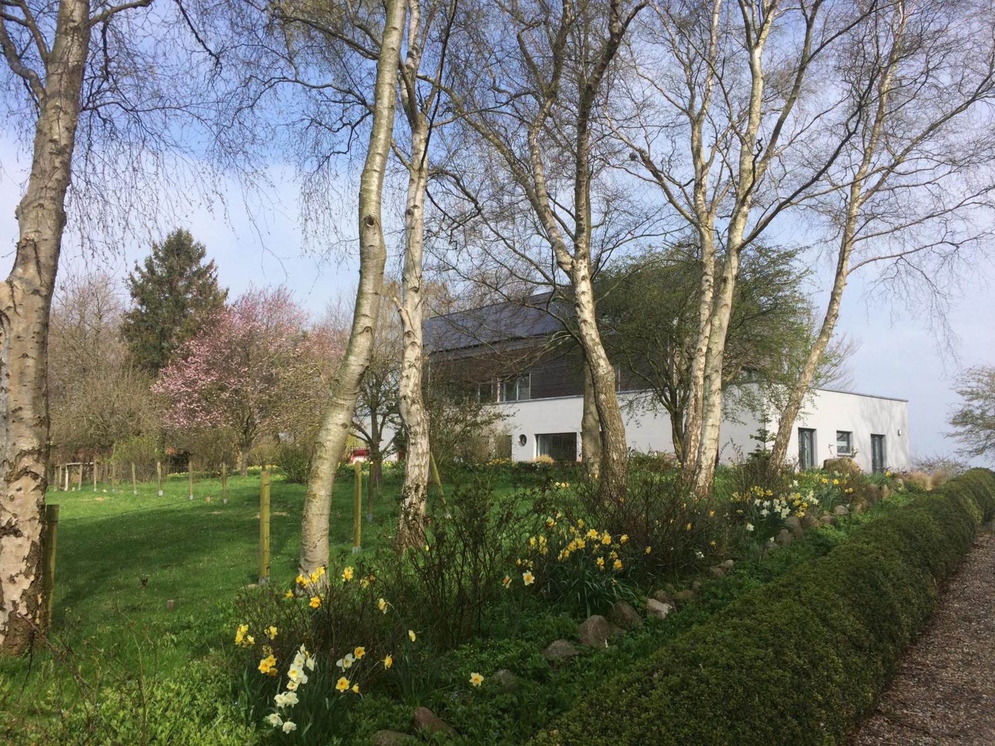 Appartement Beltblick à Fehmarn Extérieur photo