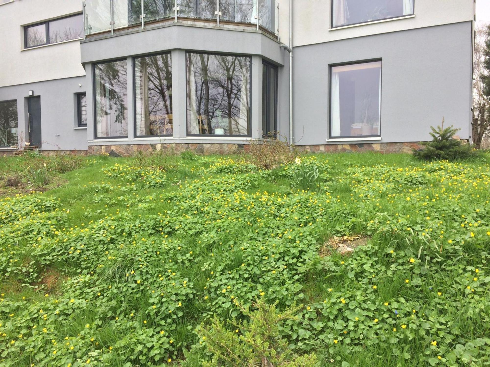 Appartement Beltblick à Fehmarn Extérieur photo
